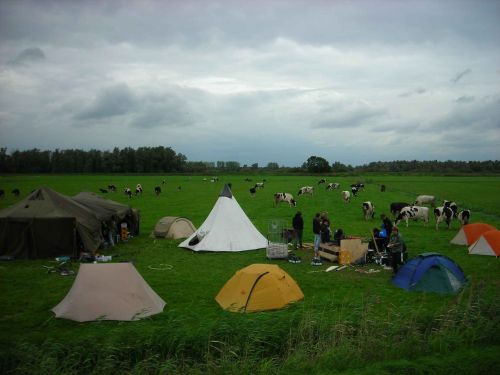 Kamp met herkauwers.jpg